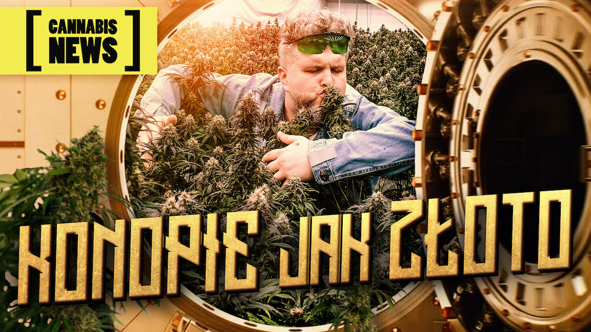 Cannabisland - polski producent suszu