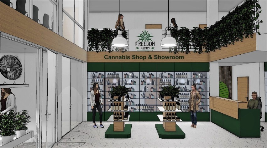 To będzie inny niż wszystkie sklep z legalnymi produktami konopnymi. Inny chociażby dlatego, że oprócz zakupu olejków CBD czy suszu CBD klienci będą mogli się zapoznać również z tajnikami uprawy konopi włóknistych. Już niebawem w stolicy swoje podwoje otworzy Cannabis Showroom.