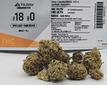 Od dziś legendarna odmiana marihuany Jack Herer jest dostępna w aptekach, oczywiście w wydaniu medycznym, do kupienia na receptę. Jej producentem jest firma Tirlay Portugal, dostarczająca medyczną do 20 krajów na 5 kontynentach.