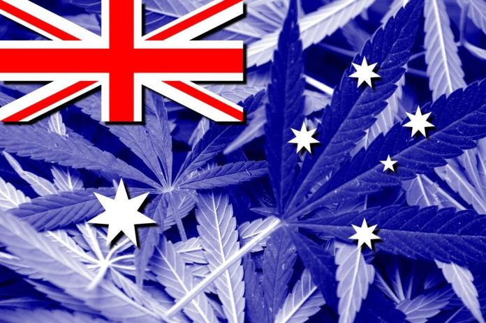 Partia Australijscy Zieloni ma szansę zalegalizować konopie indyjskie do celów rekreacyjnych do przyszłego roku. Proponowana zmiana przepisów została już skonsultowana prawnie. Oznacza to, że Australijscy Zieloni mogą zalegalizować rekreacyjną marihuanę dla osób pełnoletnich na terenie całego kraju.