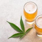 Wszystko wskazuje na to, że alkohol jest coraz mniej popularny wśród osób młodych z USA, które wolą po prostu palić zioło. To oczywiście dobra wiadomość, tym bardziej, że alkohol to tak naprawdę legalny, twardy narkotyk masowo dostępny w sklepach, pubach, a nawet na stacjach benzynowych.