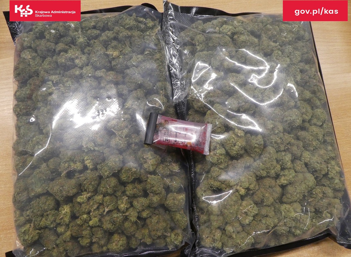 Półtora kilograma zioła lubelscy celnicy wykryli w dwóch przesyłkach, które nadano do Polski z USA. Zgodnie z deklaracją nadawcy przesyłki miały zawierać płatki śniadaniowe. Z pozoru tak to wyglądało.