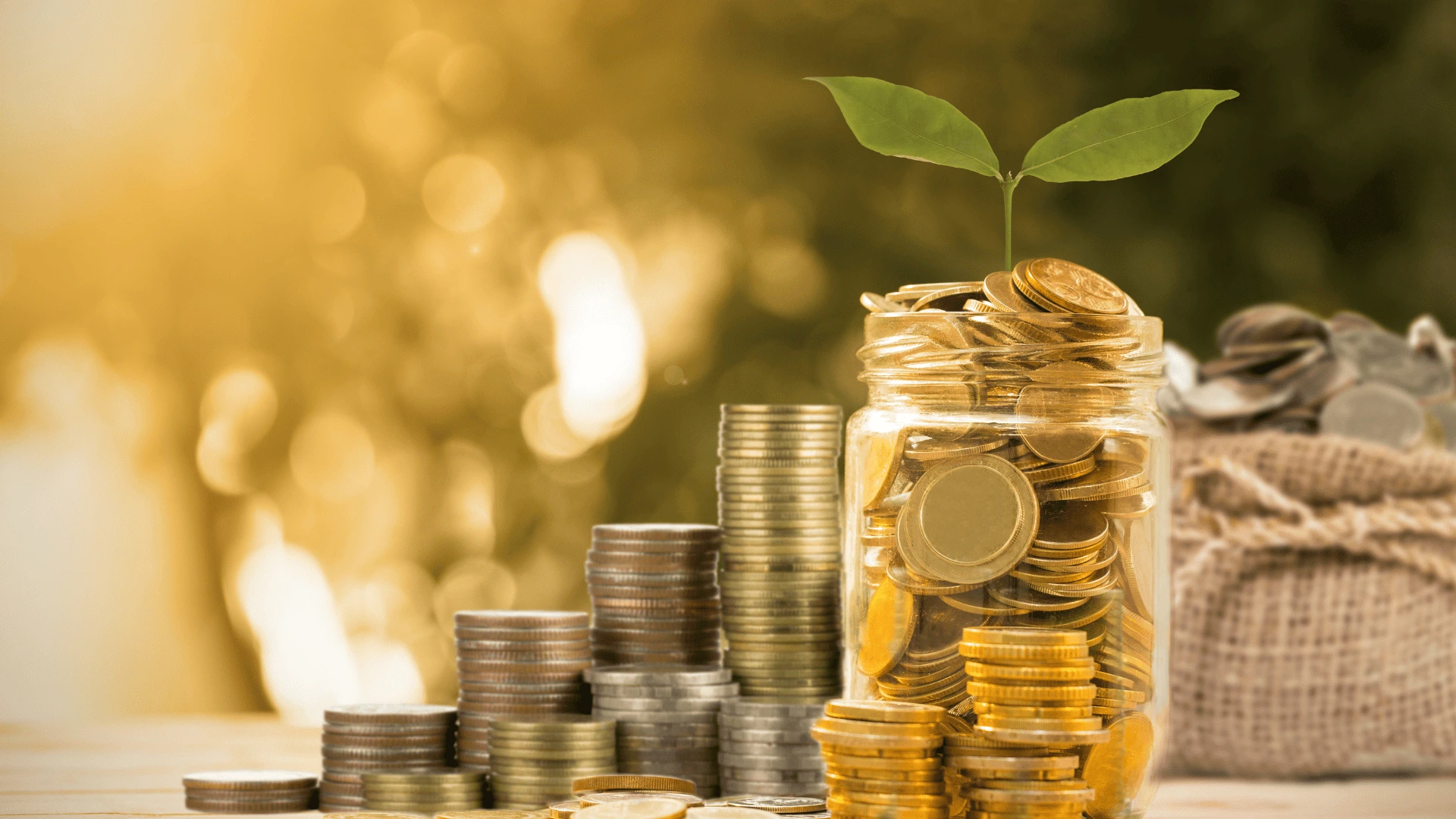 znani youtuberzy prowadzący biznes konopny