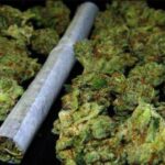 27 latek, którego policjanci zatrzymali do kontroli miał przy sobie dwa jointy. Kolejne porcje zioła na własny użytek mundurowi wyniuchali w jego domu. Koniecznie trzeba było zrobić porządek z tym groźnym przestępcą.