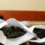 Miał przy sobie 200 gramów zioła i nie miał zamiaru oddać towaru ścigającym go policjantom. 17 latek z Kartuz (woj. pomorskie) nie dość, że szarpał się z policjantami, to jednego z nich uderzył z byka.