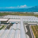 W miejscowości Examilia na Koryncie otwarto pierwszą w Grecji fabrykę produkującą marihuanę medyczną. Inwestycja Tikun Europe, spółki zależnej Tikun Olam z siedzibą w Izraelu, została przyjęta z entuzjazmem przez greckiego ministra rozwoju i inwestycji Adonisa Georgiadisa, który stwierdził, że to historyczny dzień podczas przemówienia na otwarciu fabryki.