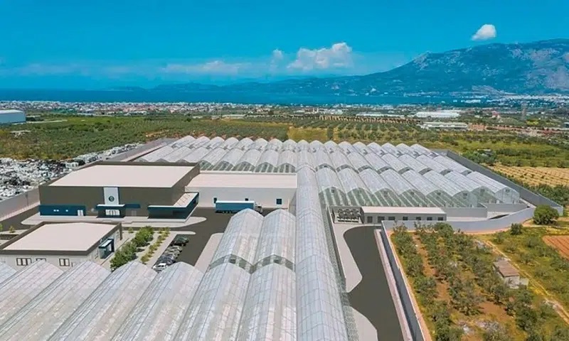 W miejscowości Examilia na Koryncie otwarto pierwszą w Grecji fabrykę produkującą marihuanę medyczną. Inwestycja Tikun Europe, spółki zależnej Tikun Olam z siedzibą w Izraelu, została przyjęta z entuzjazmem przez greckiego ministra rozwoju i inwestycji Adonisa Georgiadisa, który stwierdził, że to historyczny dzień podczas przemówienia na otwarciu fabryki.