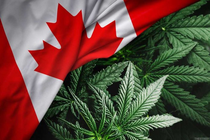 468 ton konopi indyjskich zniszczyli w zeszłym roku federalnie licencjonowani producenci z Kanady. Tak wynika z wyliczeń Health Canada. Brzmi szokująco? Jednak od 2018 r., kiedy to w Kanadzie zioło jest legalne, licencjonowani producenci niszczą coraz więcej nadwyżek marihuany na rynku.