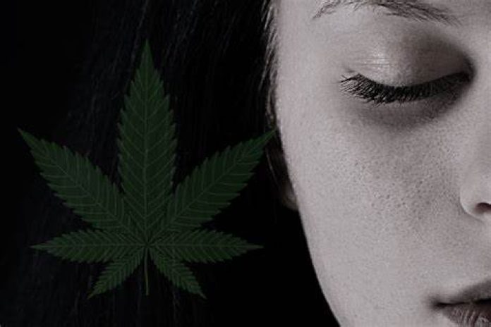 Najnowsze badania naukowe wskazują na to, że medyczna marihuana pomaga w leczeniu osób ze zdiagnozowaną kliniczną depresją. Wyniki badań opublikowano na łamach Frontiers in Psychiatry.