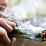 Najnowsze badania w wykonaniu amerykańskich naukowców potwierdzają, że konopie indyjskie czynią ludzi lepszymi. Chodzi o rozmaite kultury i religie, według których palenie zioła sprawia, że ludzie są milsi i mniej chciwi.