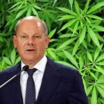 Legalizacja marihuny za Odrą. Niemiecki rząd podjął decyzję