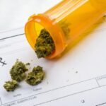 Od momentu legalizacji marihuany medycznej w Polsce liczba wydawanych recept na ten lek znacząco wzrosła. Według statystyk, w latach 2019 - 2023 zrealizowano już ponad 200 tysięcy recept na medyczną marihuanę. Co to oznacza dla pacjentów i jakie są efekty terapii konopiami medycznymi?