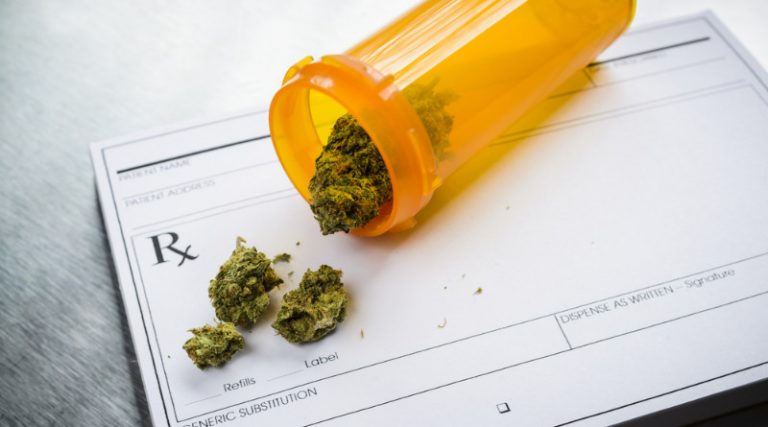 Od momentu legalizacji marihuany medycznej w Polsce liczba wydawanych recept na ten lek znacząco wzrosła. Według statystyk, w latach 2019 - 2023 zrealizowano już ponad 200 tysięcy recept na medyczną marihuanę. Co to oznacza dla pacjentów i jakie są efekty terapii konopiami medycznymi?