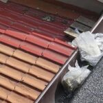 Na dole uprawa pomidorów i konopi indysjkich pod folią, a na górze dwa foliowe worki z ziołem. Była to prężna hodowla marihuany, za którą został zatrzymany 24 letni mieszkaniec Gdańska.