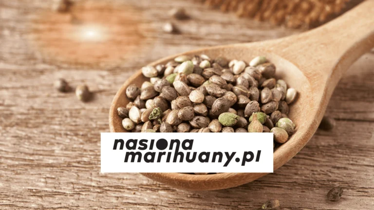 sklep z nasionami marihuany