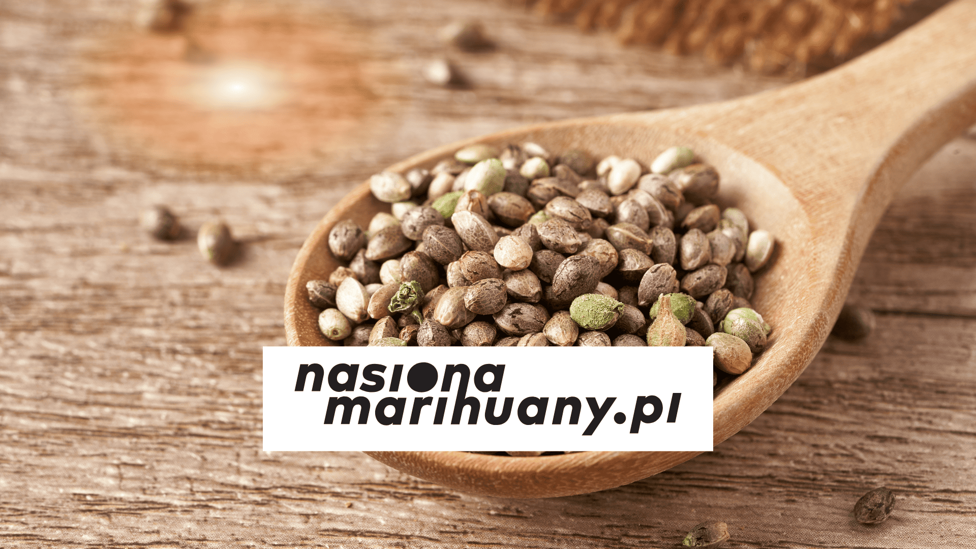 sklep z nasionami marihuany