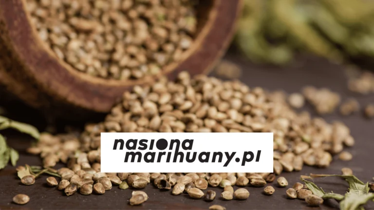 jak przechowywać nasiona