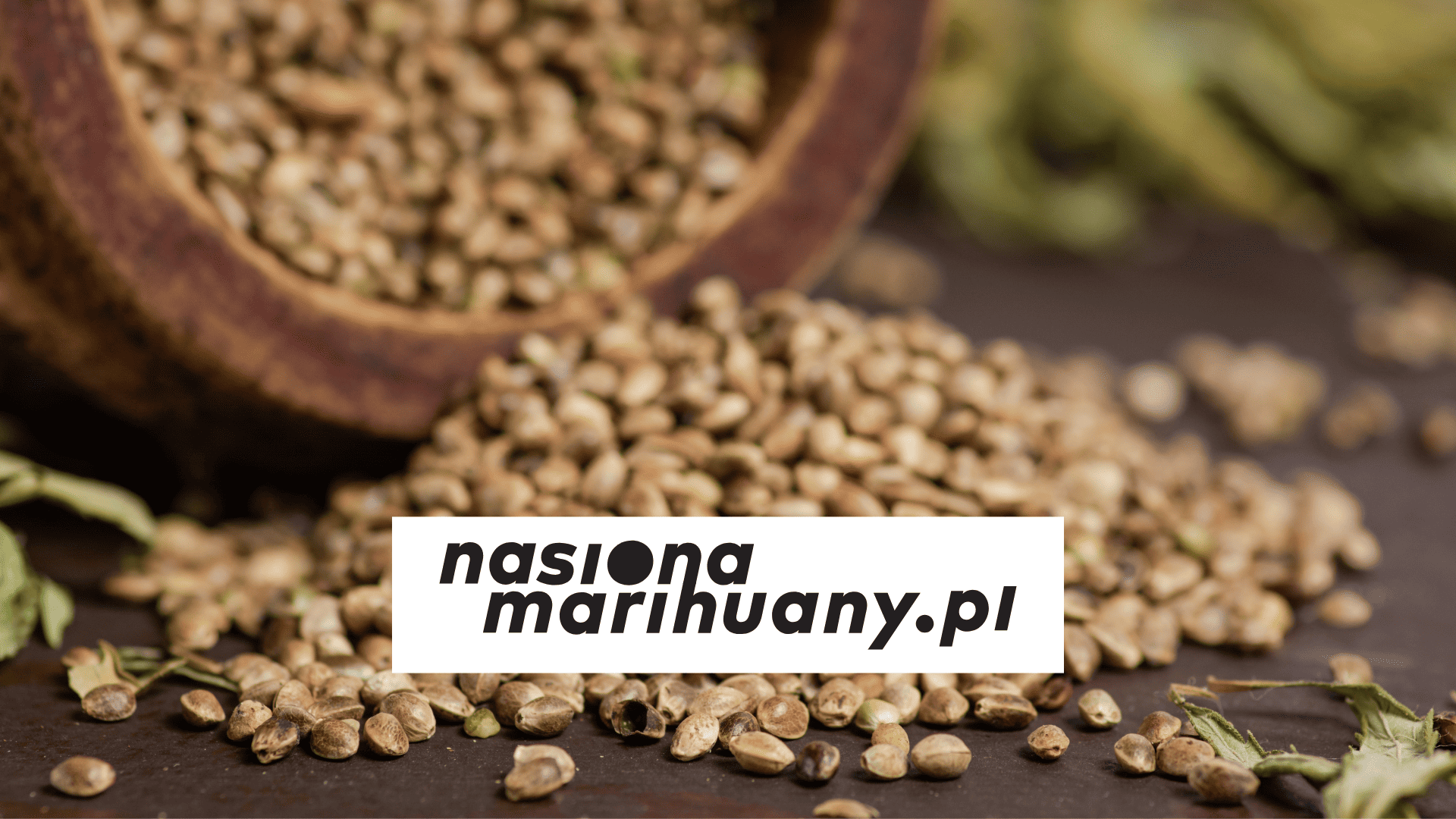 jak przechowywać nasiona